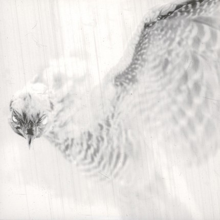 The Black Heart Rebellion - Har Nevo LP