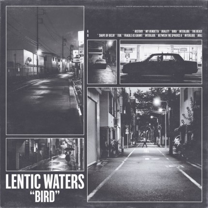 Lentic Waters - Bird LP