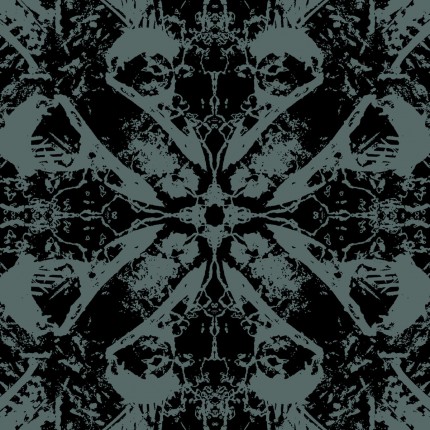 Insidious Process - Mirrors of The Dead LP