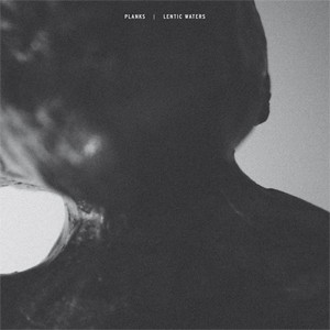 Planks / Lentic Waters - Split LP