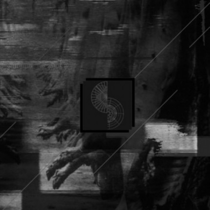 Negative Standards / Whitehorse - Split LP